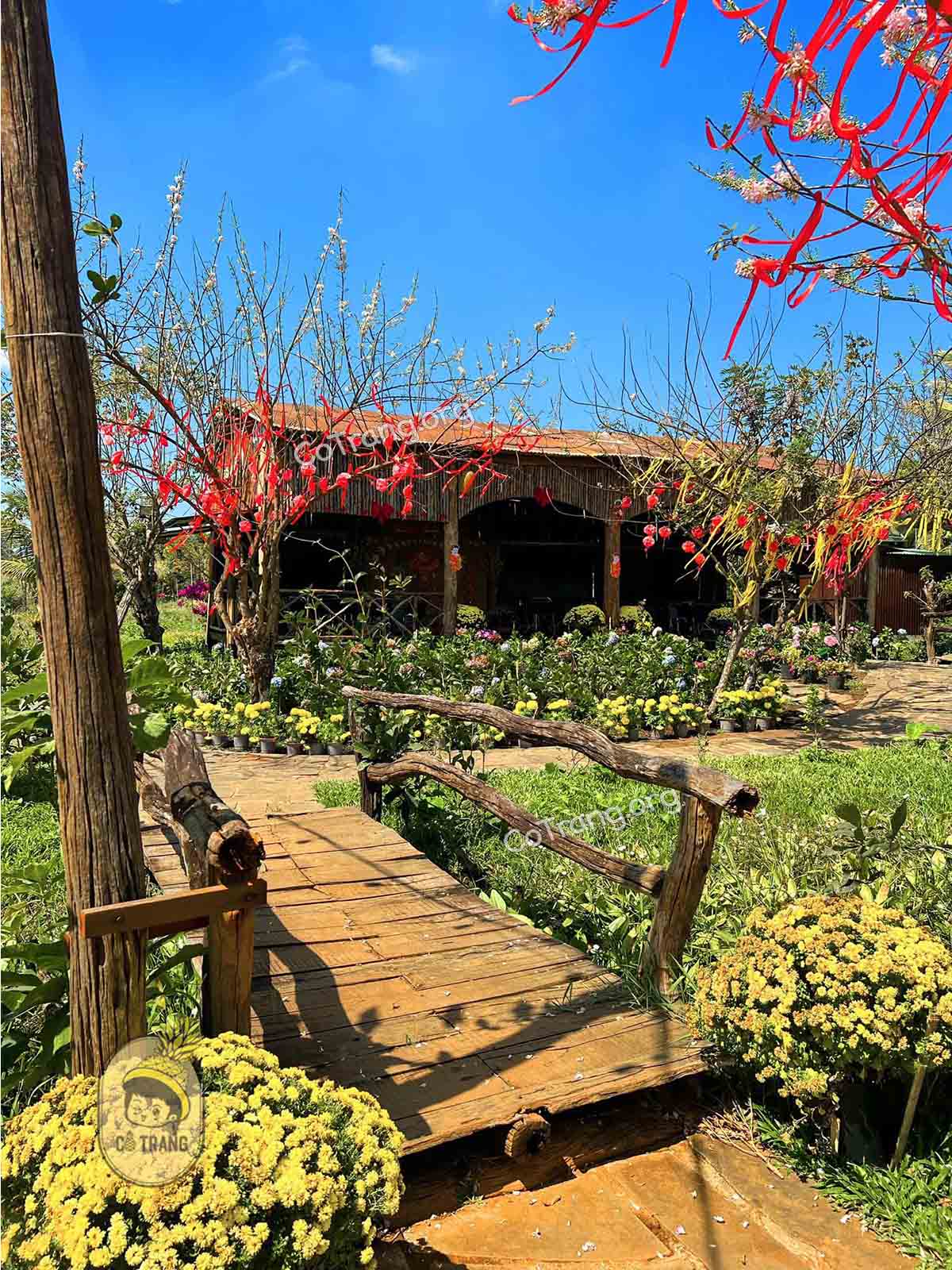 Cánh Đồng Farm Gia Lai - 169 Nguyễn Kiệm, Pleiku, Gia Lai (ảnh sưu tầm)