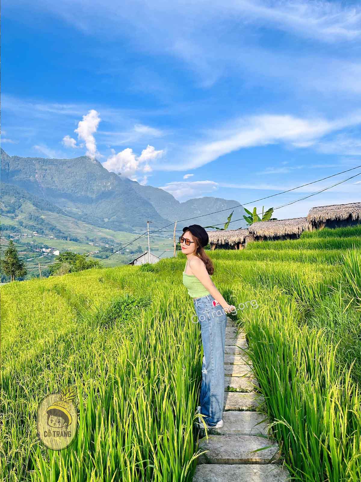 Lúa Cafe Sapa - Bản Tả Van