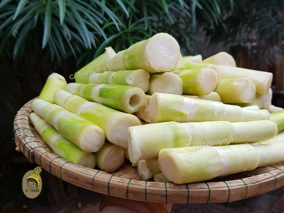 Măng Le Rừng Gia Lai - Đặc Sản Dân Dã