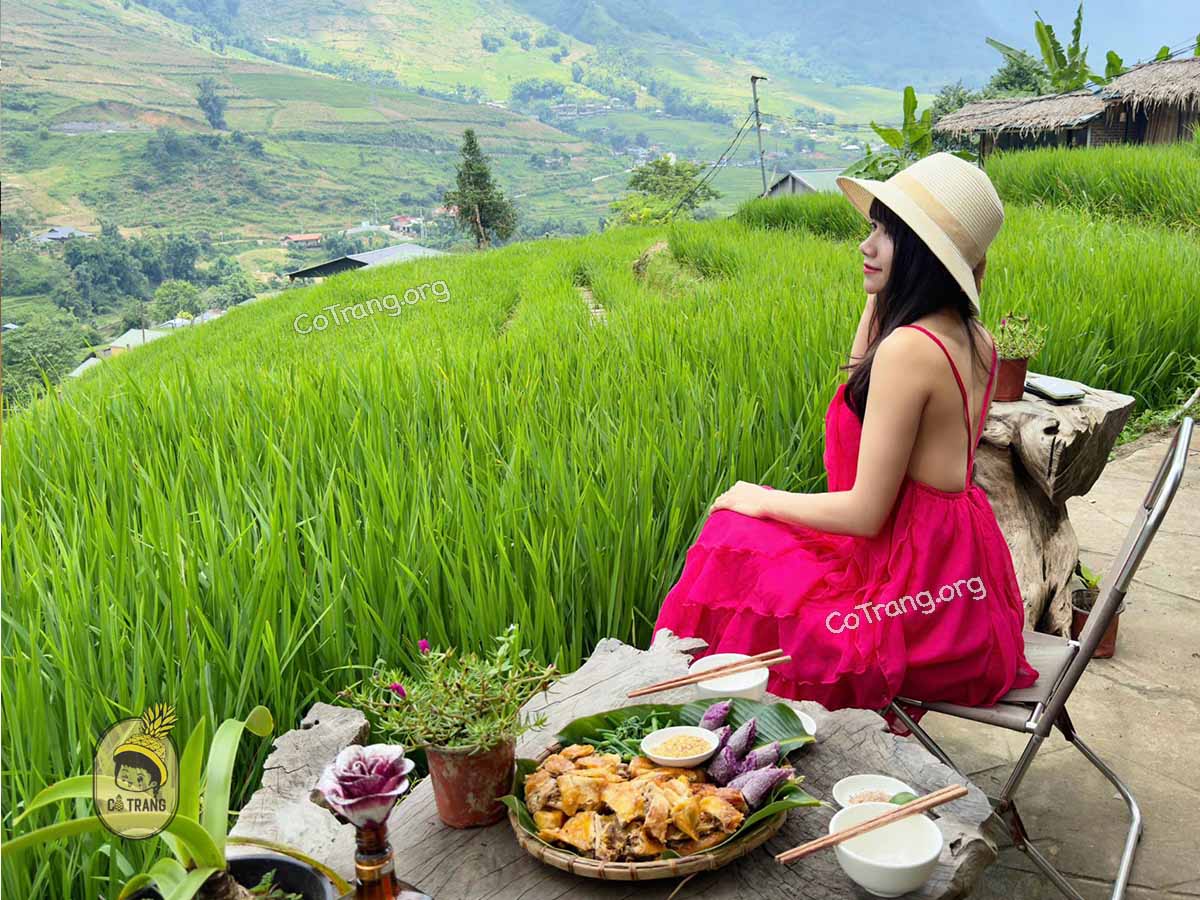 Lúa Cafe Sapa - Bản Tả Van