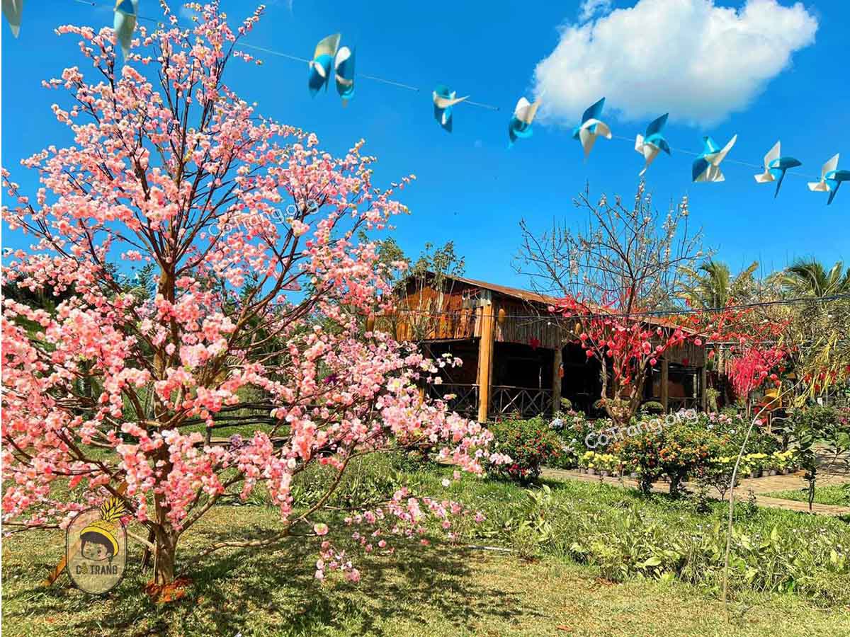 Không gian tại Cánh Đồng Farm Gia Lai (ảnh sưu tầm)
