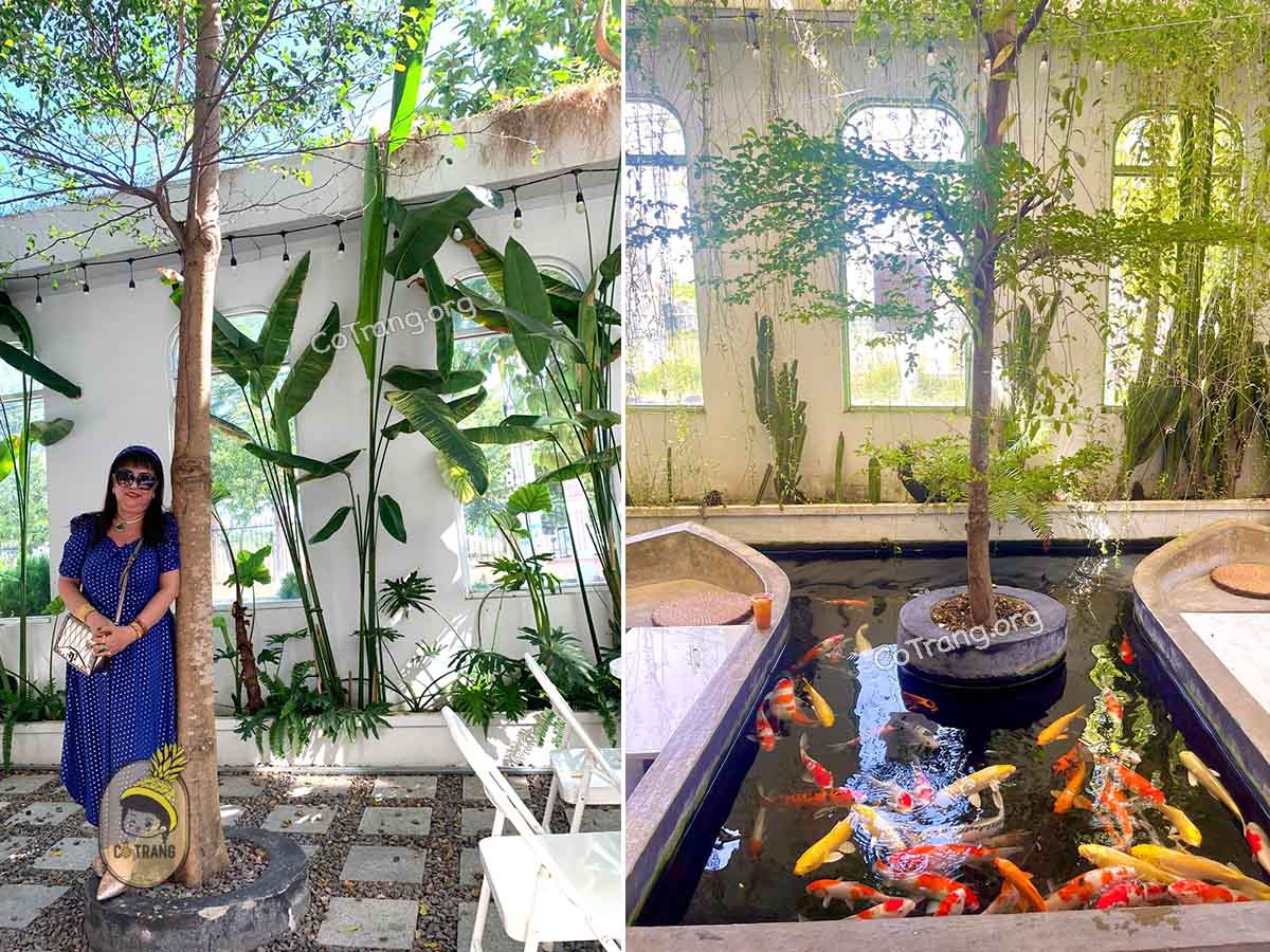 Chôm Coffee Quy Nhơn - Một vibe Địa Trung Hải Xinh Xắn, Menu, Review