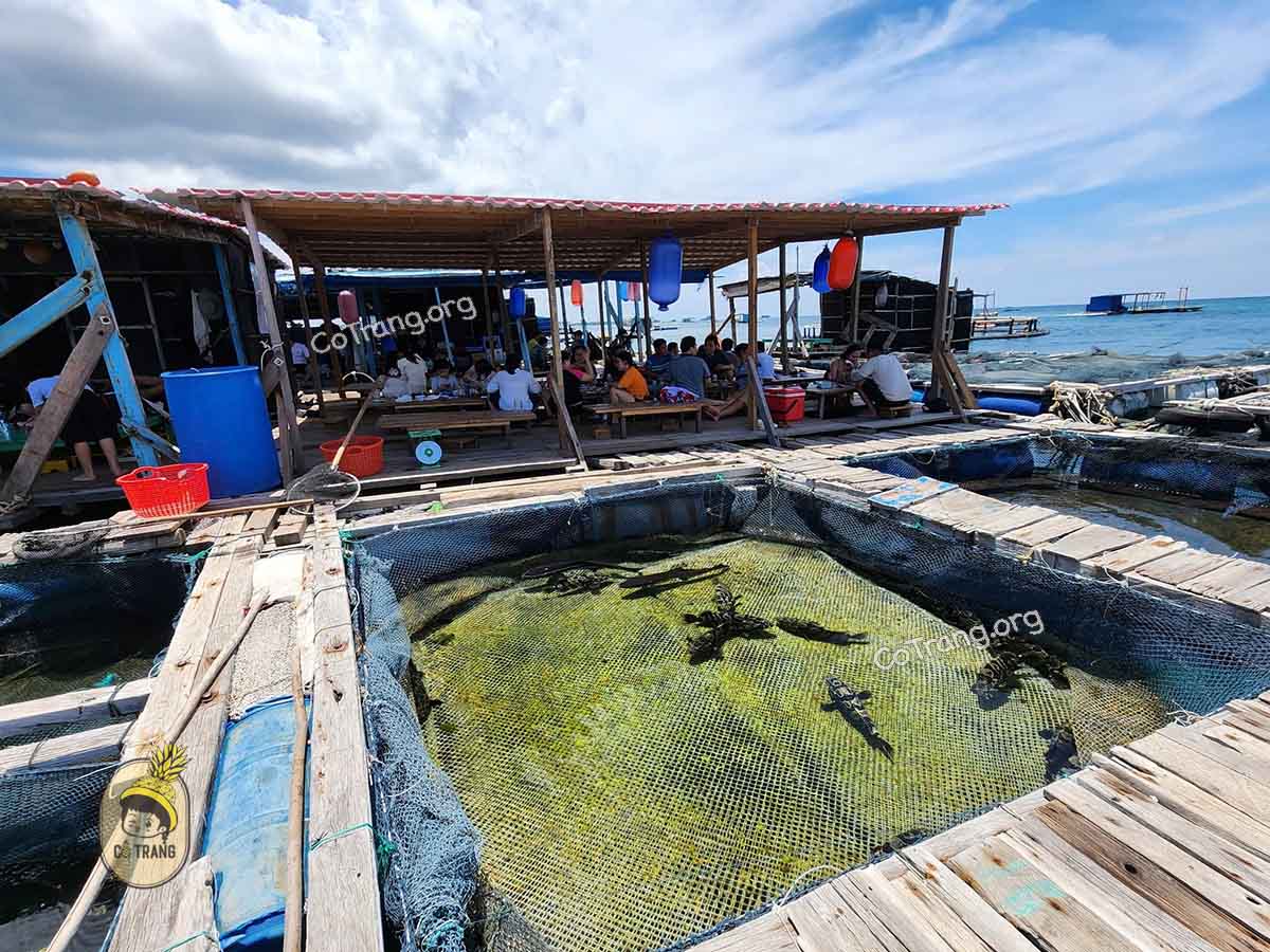Không gian tại Lồng Bè A Sin - Đảo Phú Quý