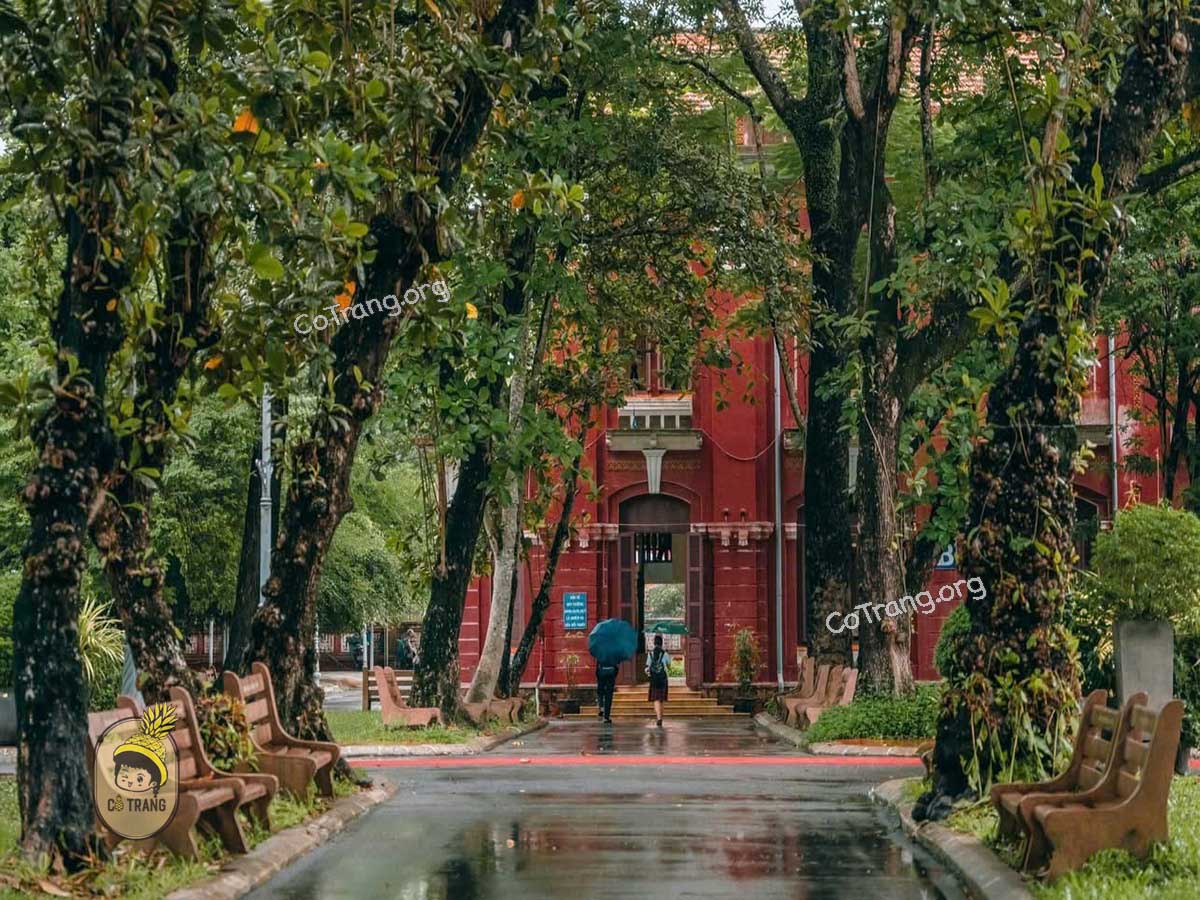 Trường Quốc Học - 12 Lê Lợi, Huế (ảnh sưu tầm)
