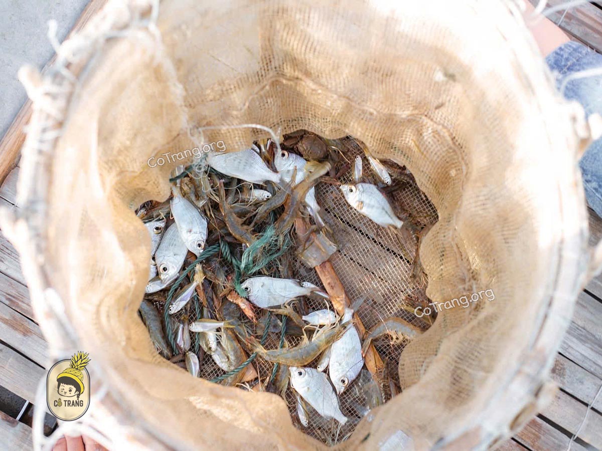 Không gian thực tế tại  Đầm Chuồn Huế 