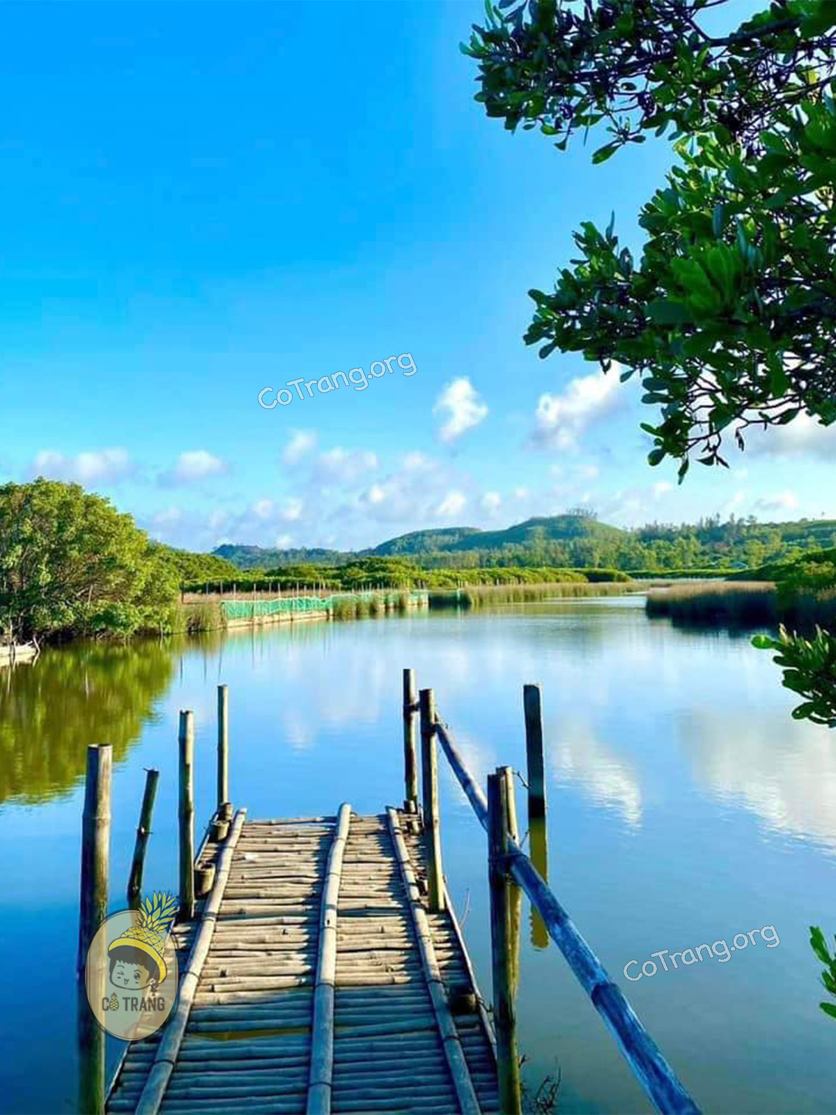Cảnh đẹp tại Bầu Cá Cái Quảng Ngãi 