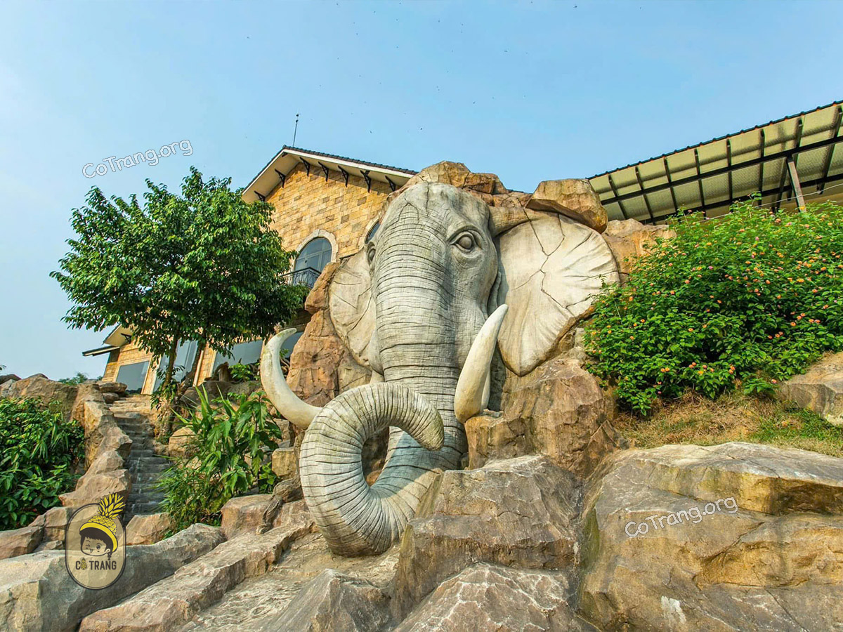 Hình ảnh thực tế tại Bạch Mã Village Huế