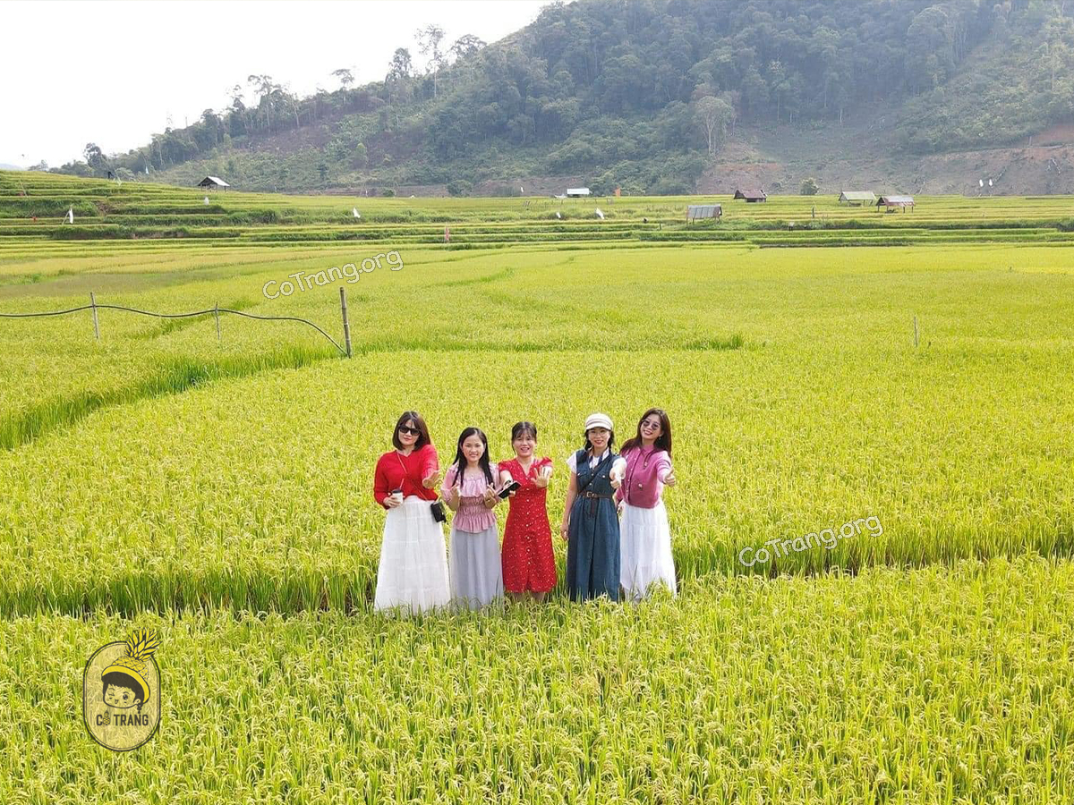 Check-in chill hết nấc tại Ruộng Bậc Thang Kon Tu Rằng Măng Đen