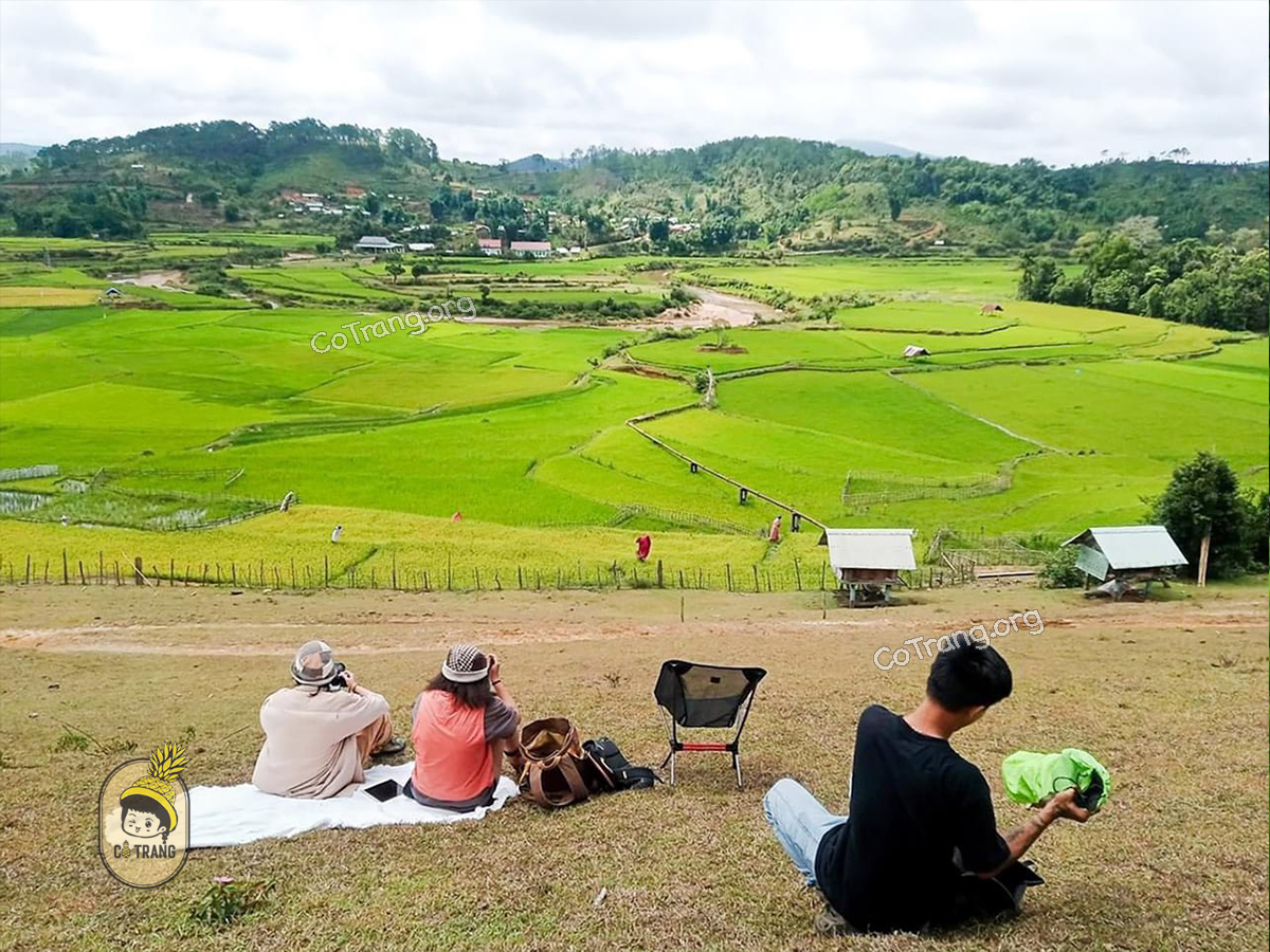 Check-in chill hết nấc tại Ruộng Bậc Thang Kon Tu Rằng Măng Đen