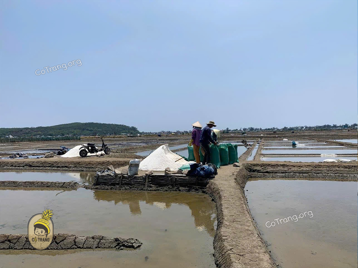 Đồng Muối Sa Huỳnh tại Quảng Ngãi (Ảnh sưu tầm)