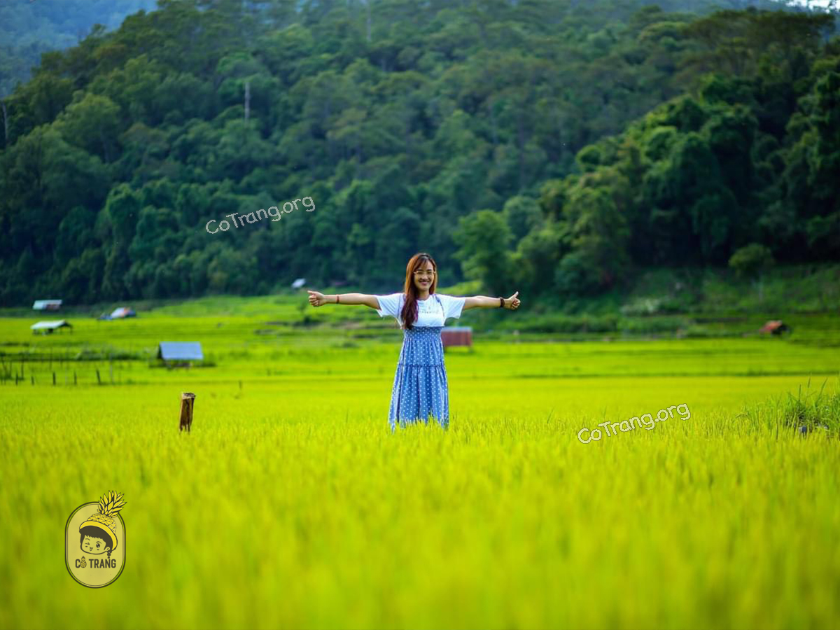 Check-in chill hết nấc tại Ruộng Bậc Thang Kon Tu Rằng Măng Đen