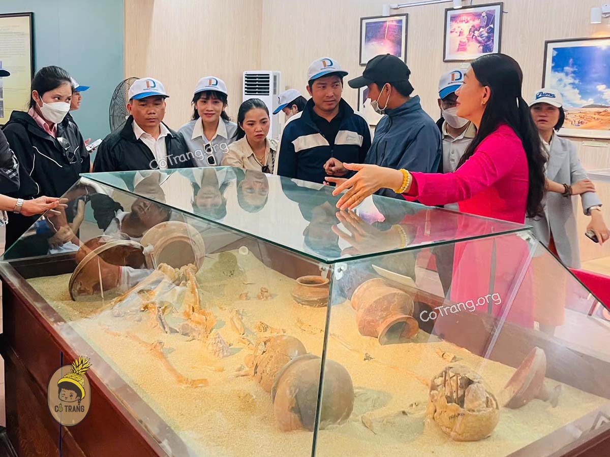 Bảo tàng tổng hợp Quảng Ngãi - 99 Lê Trung Đình, Quảng Ngãi (ảnh sưu tầm)