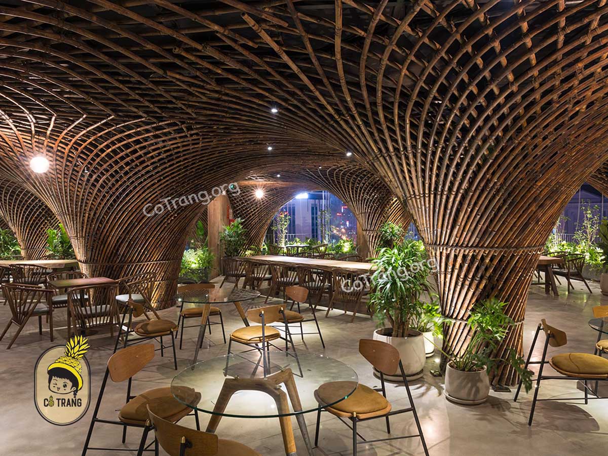 Không gian thực tế tại Nocenco Cafe Vinh