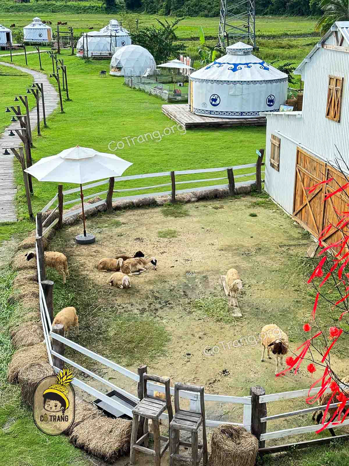 Không gian thực tế tại Hani Glamping Đà Nẵng 