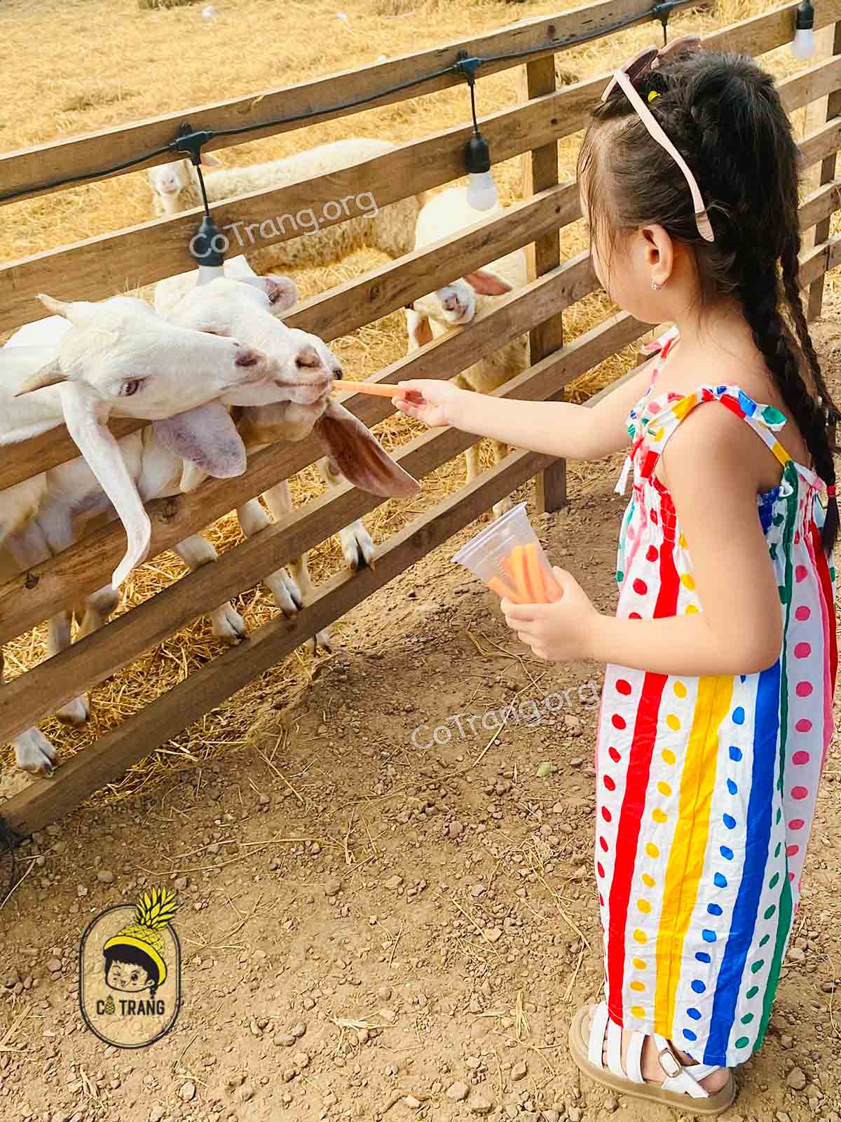 Góc sống ảo tại Narasa Hills Huế