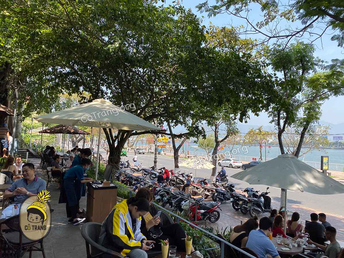 Không gian và đồ uống tại The Books Garden Cafe Đà Nẵng
