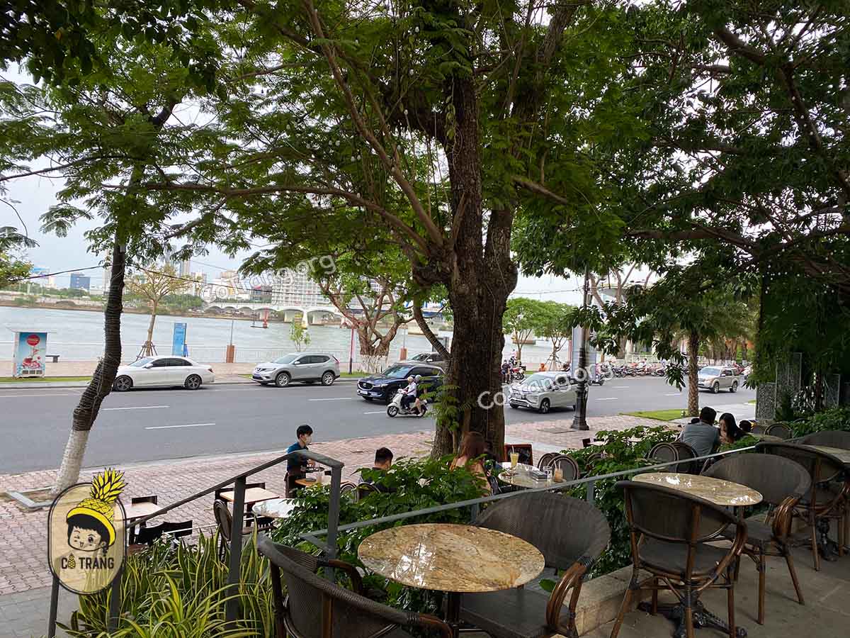 Không gian và đồ uống tại The Books Garden Cafe Đà Nẵng