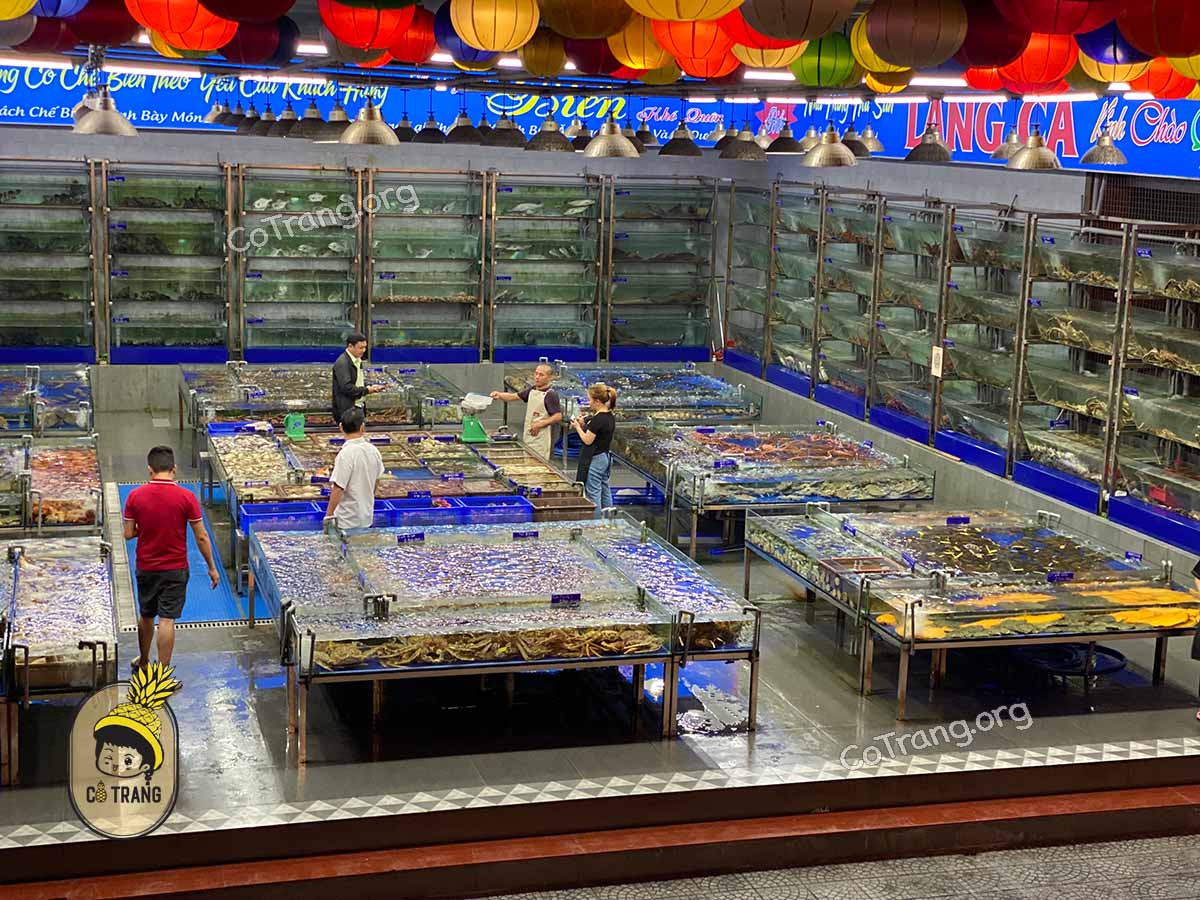 Hải Sản Làng Cá - 262 Võ Nguyên Giáp, Đà Nẵng