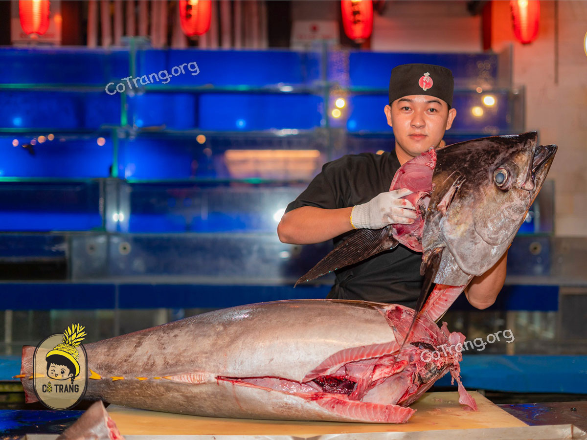 Kyoto Sushi - 10 Võ Nguyên Giáp Đà Nẵng