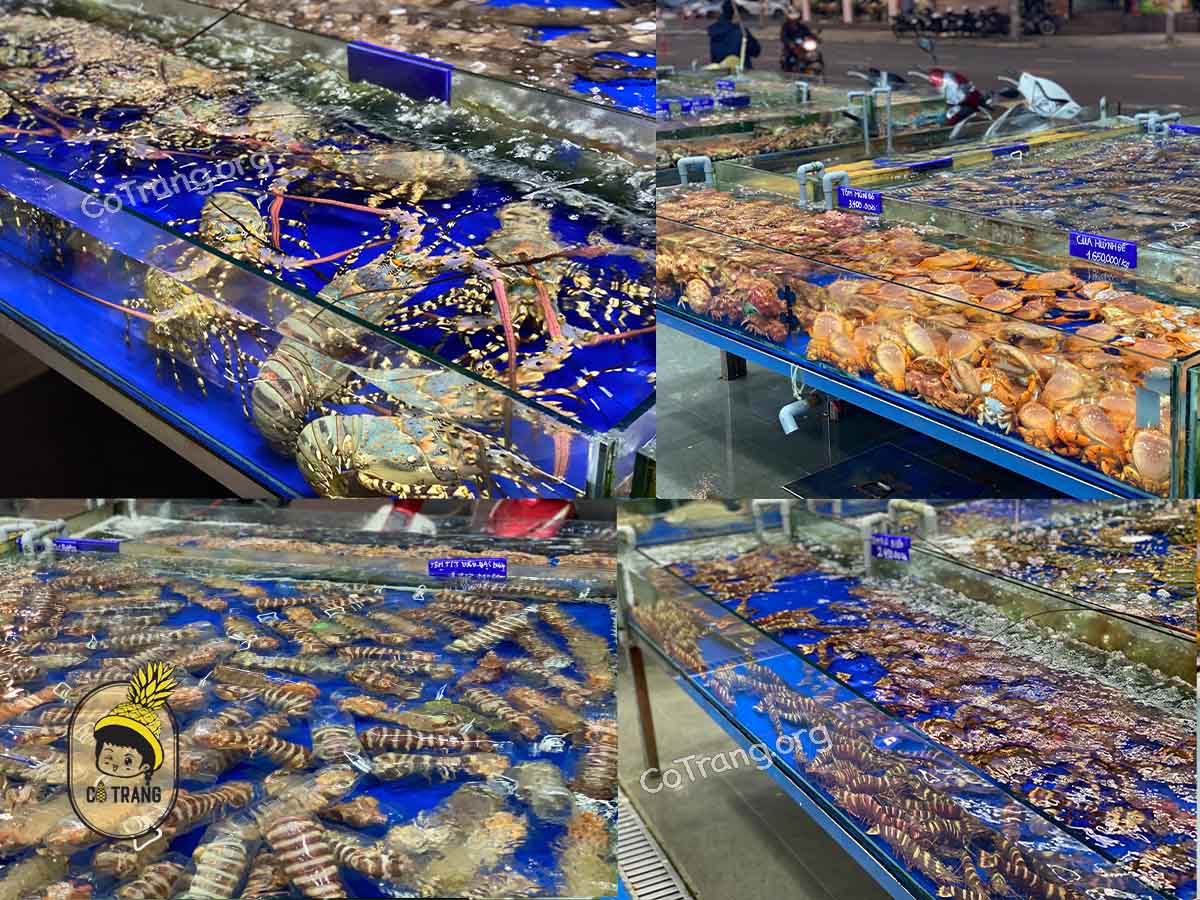 Không gian và món ăn tại Nhà Hàng Làng Cá Đà Nẵng