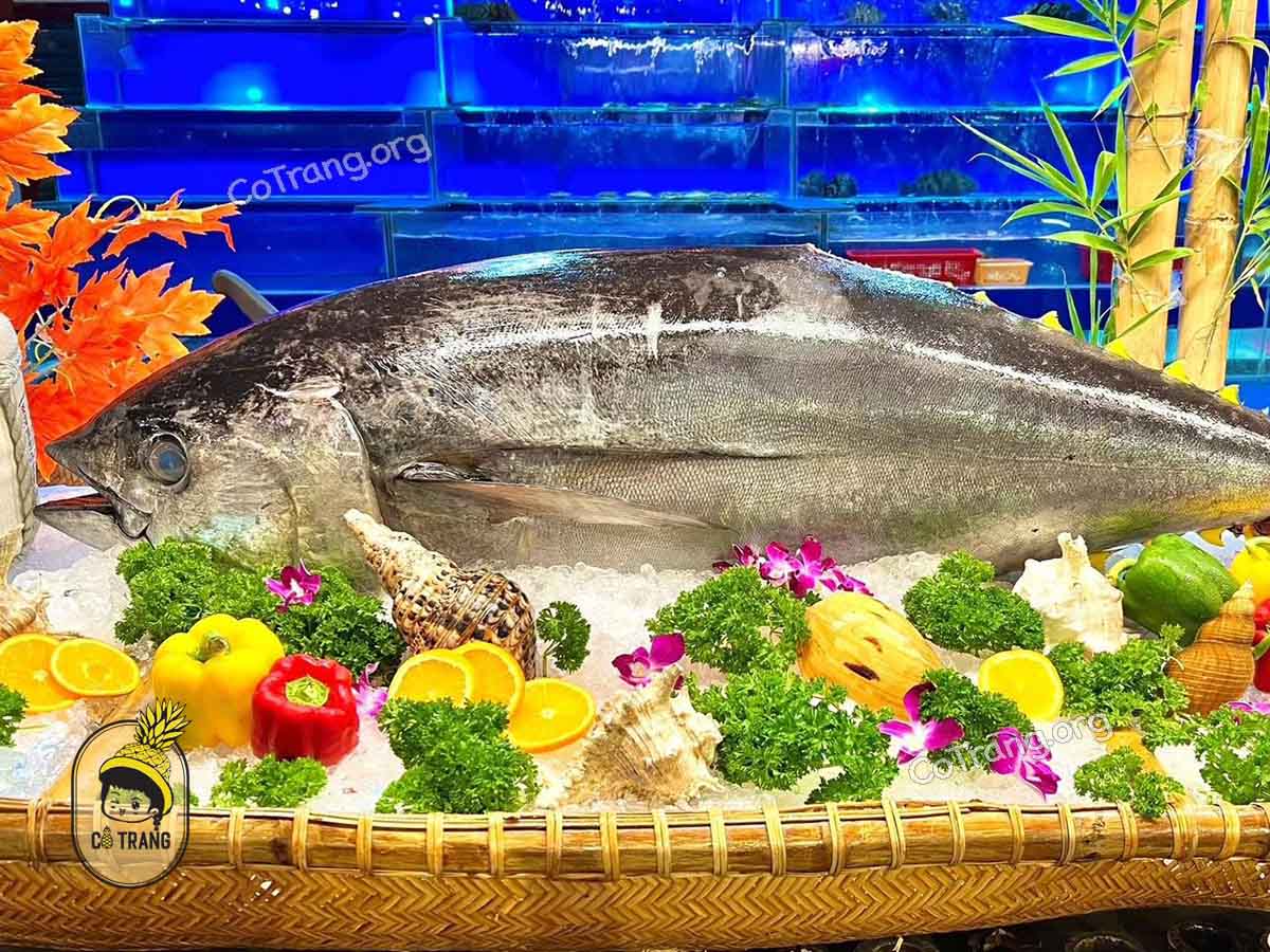Không gian và món ăn tại Kyoto Sushi Đà Nẵng