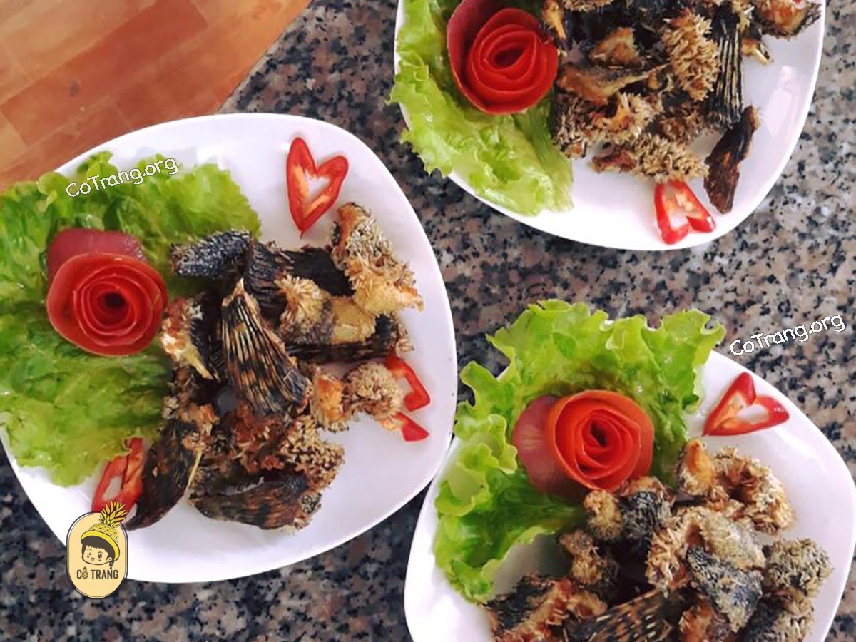 Không Gian Và Các Món Ăn Tại Cơm Niêu Phố Hội, Hội An