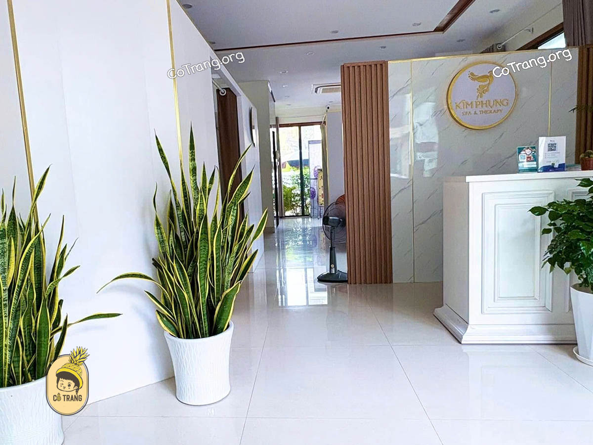 Không Gian Thực Tế Tại Kim Kim Phụng Spa & Massage, Đồng Hới