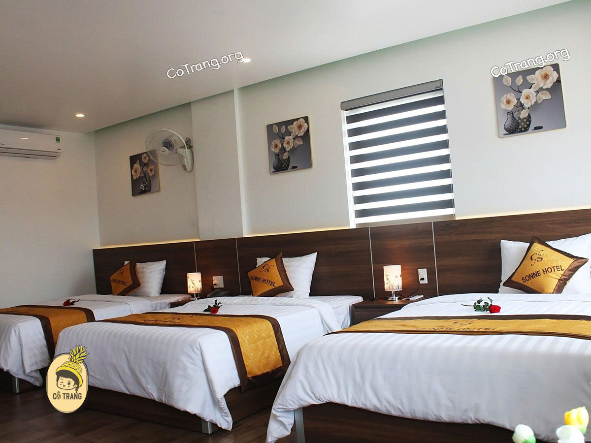Sonne Hotel Đồng Hới - Khách sạn 2 Sao chất lượng, giá phòng, review