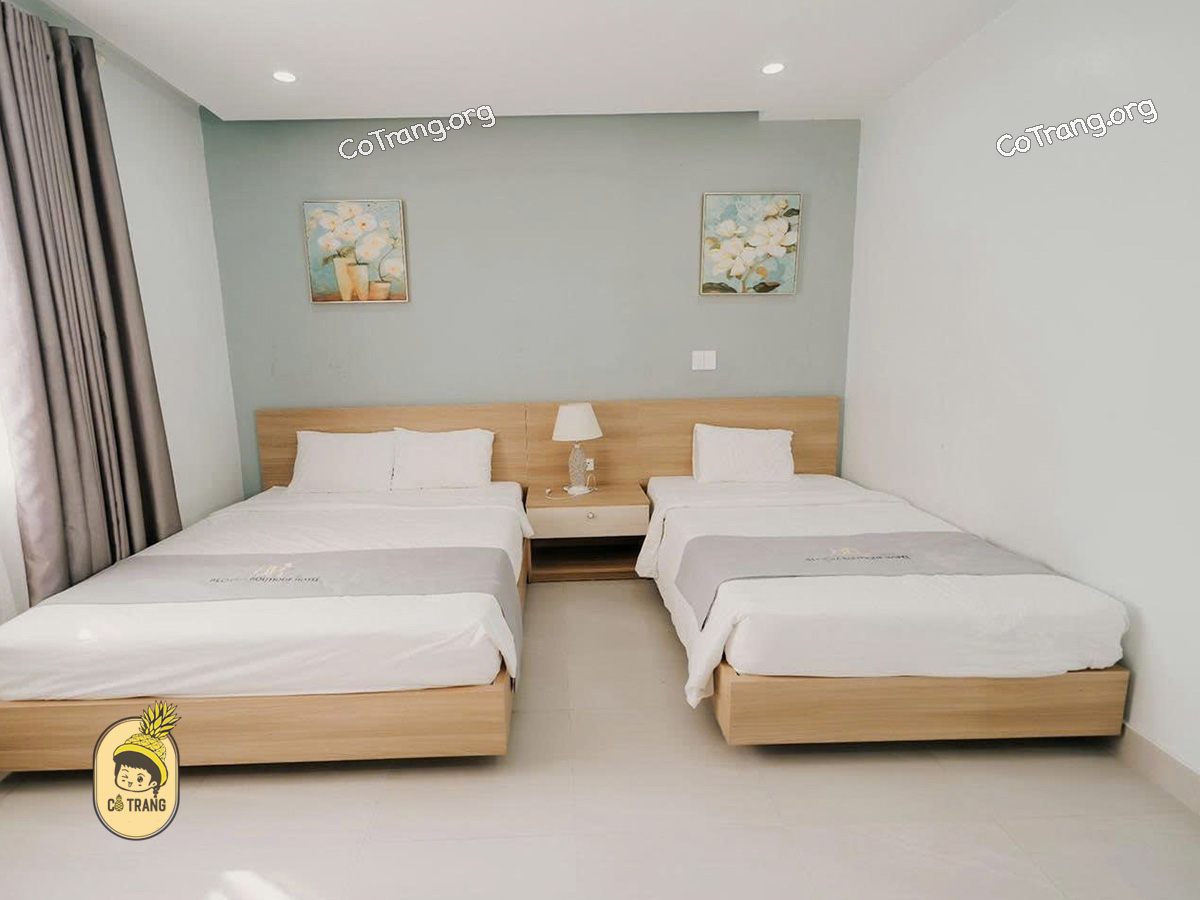 Không Gian Thực Tế Tại Bloom Boutique Hotel Đồng Hới