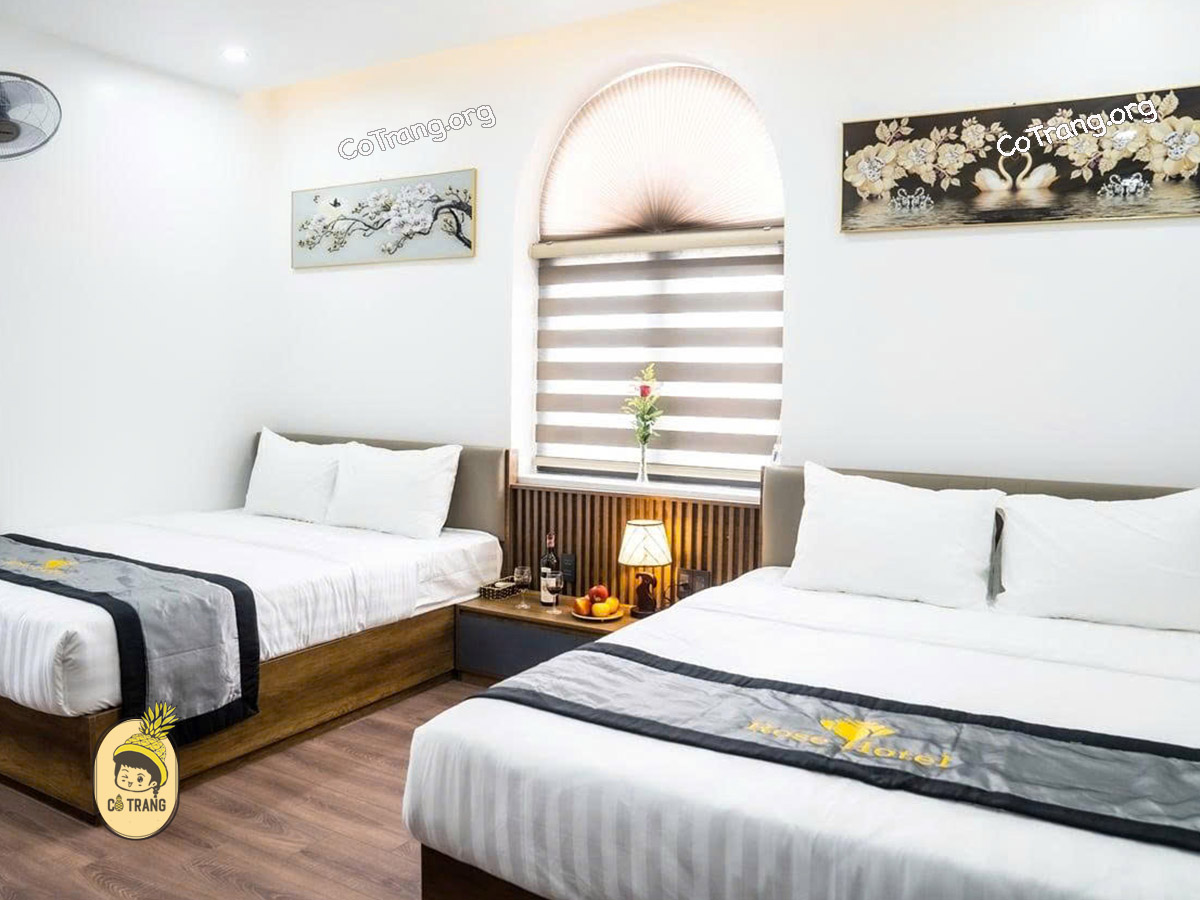 Rose Hotel Quảng Bình - Khách sạn 2 Sao gần biển Bảo Ninh, giá phòng, review