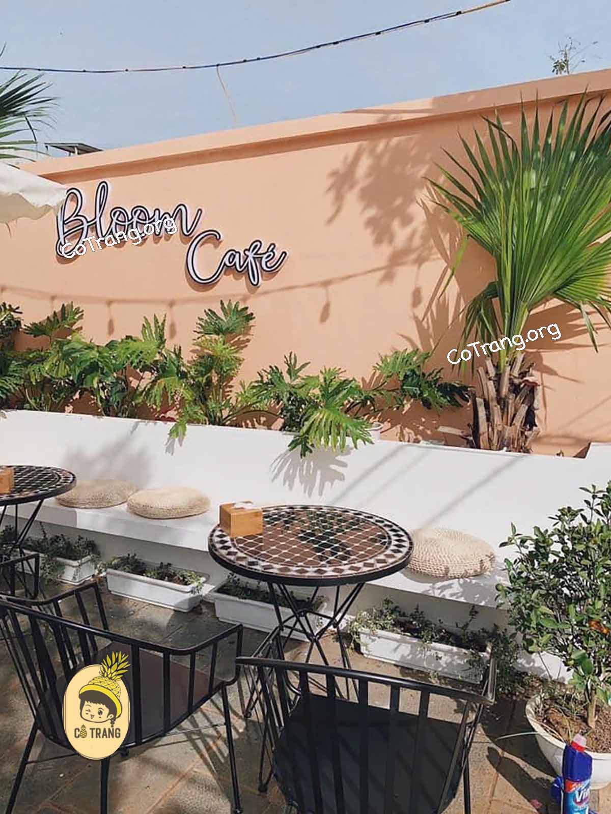 Không Gian Thực Tế Tại Bloom Boutique Hotel Đồng Hới