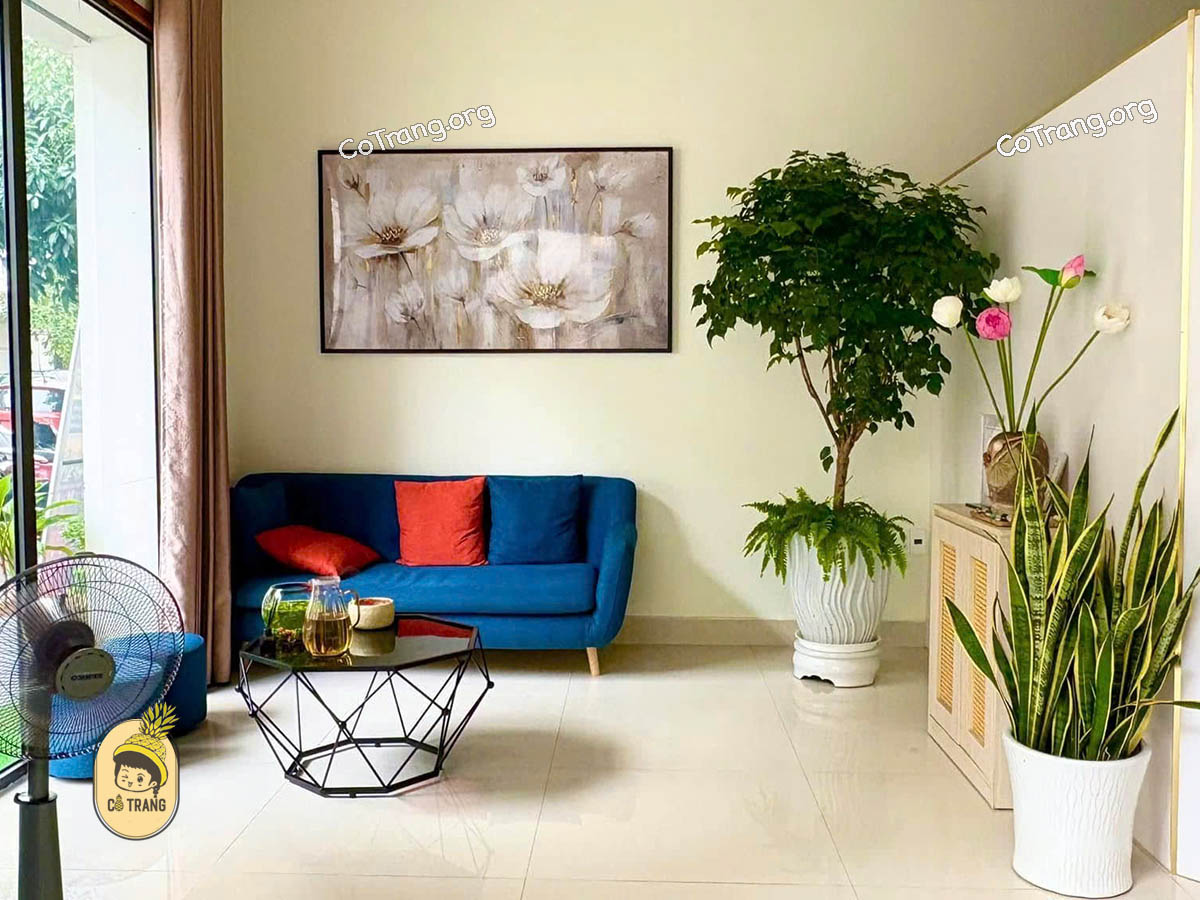 Không Gian Thực Tế Tại Kim Kim Phụng Spa & Massage, Đồng Hới