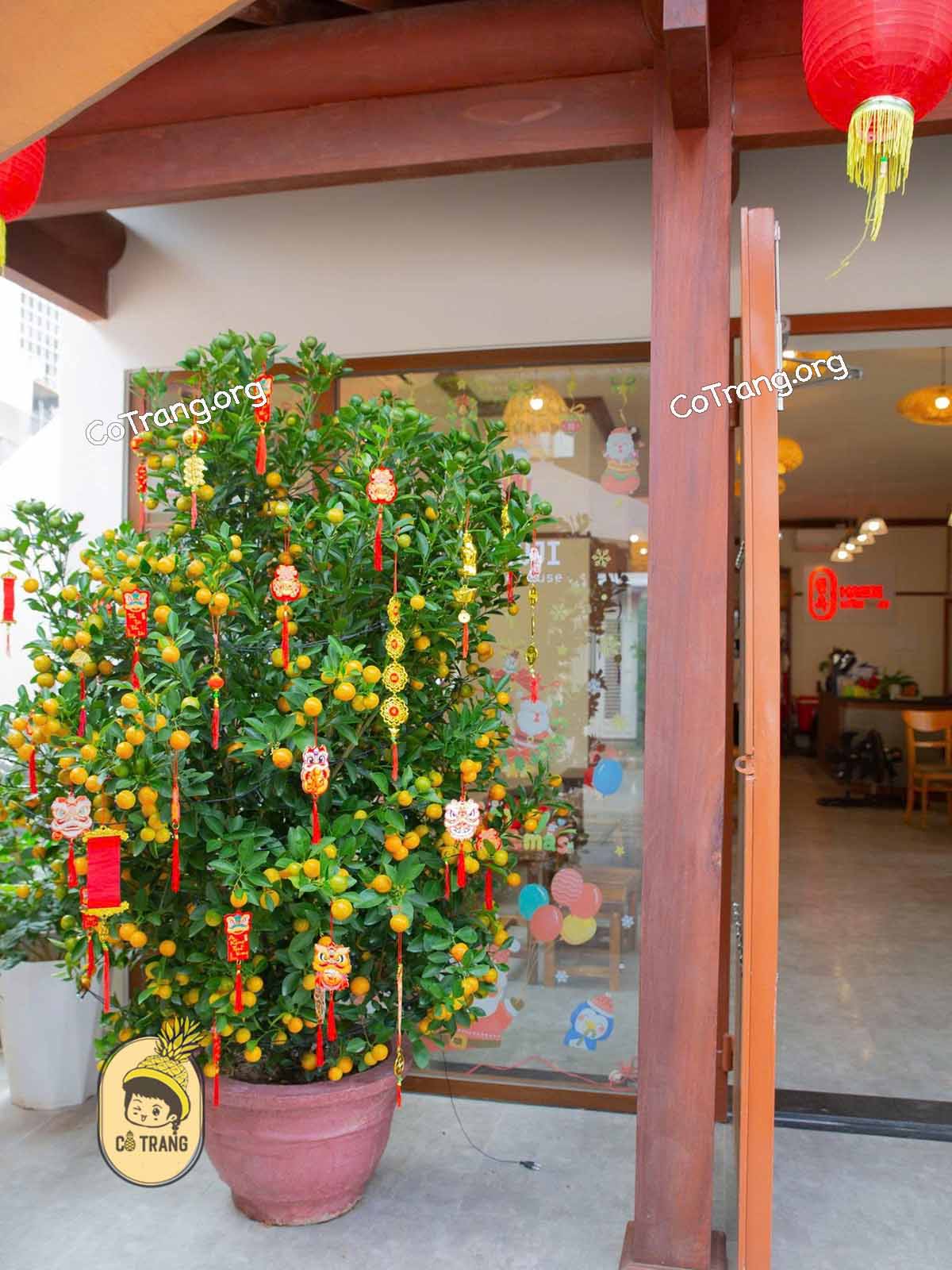 Không Gian Thực Tế Tại HANJI Coffee House - Quảng Ngãi
