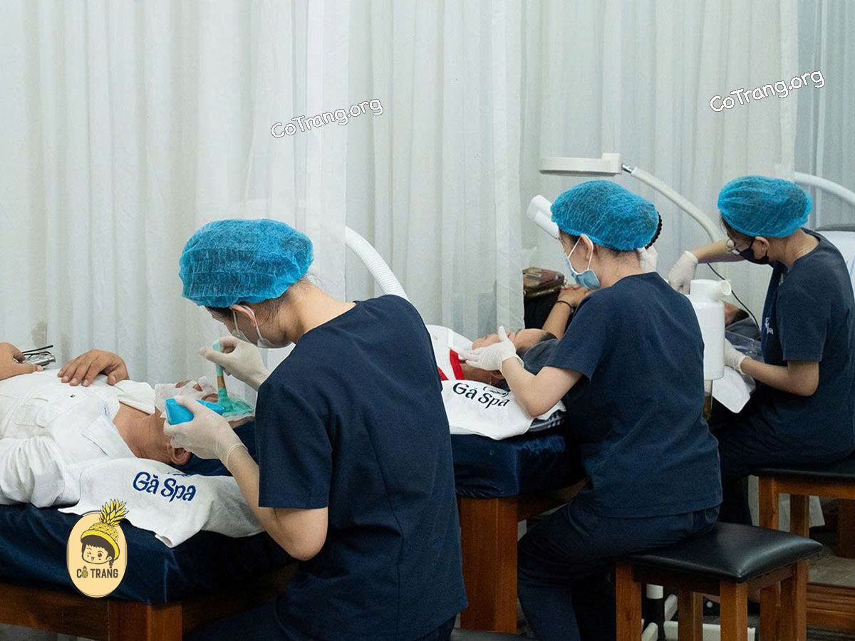 Các Dịch Vụ Tại Gà Spa, Quy Nhơn