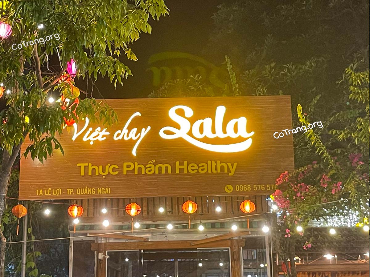Nhà Hàng Việt Chay Sala Quảng Ngãi - Toạ độ thưởng thức món chay ngon, menu, review