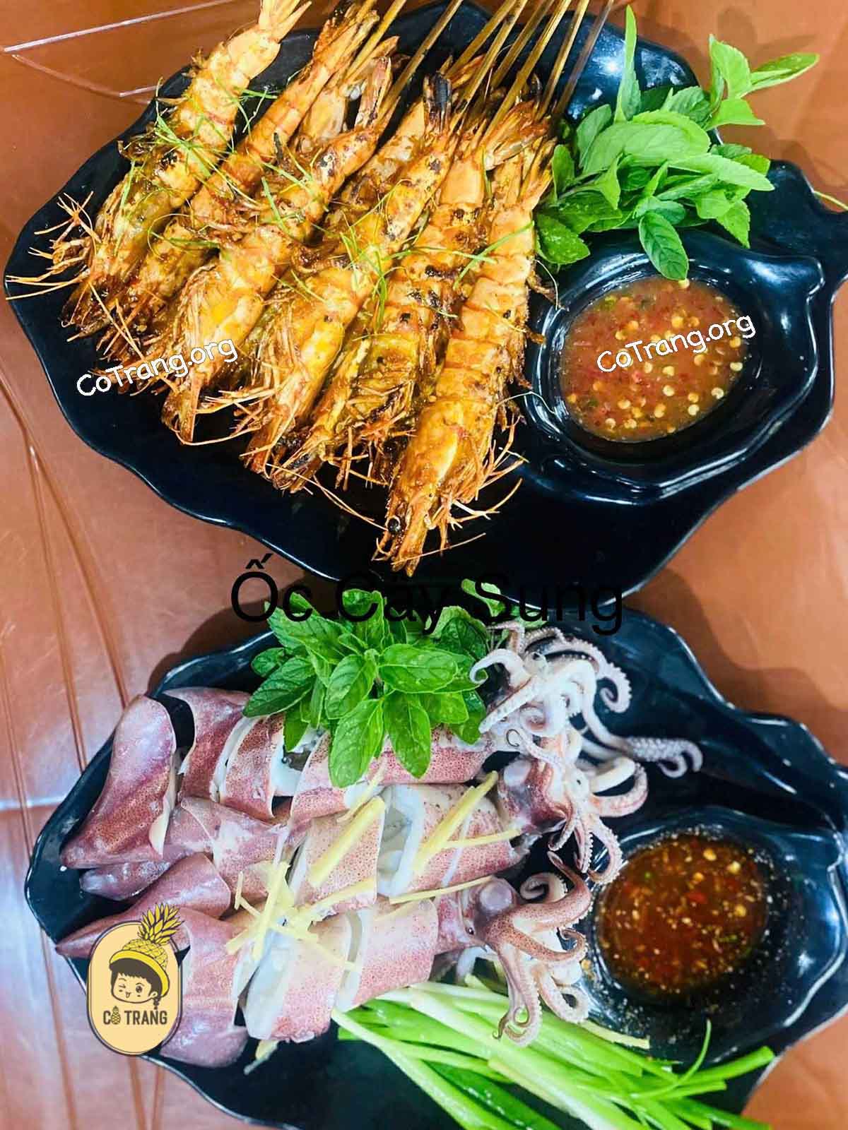 Ốc Cây Sung - Ngõ 57 Đường Hữu Nghị, Đồng Hới