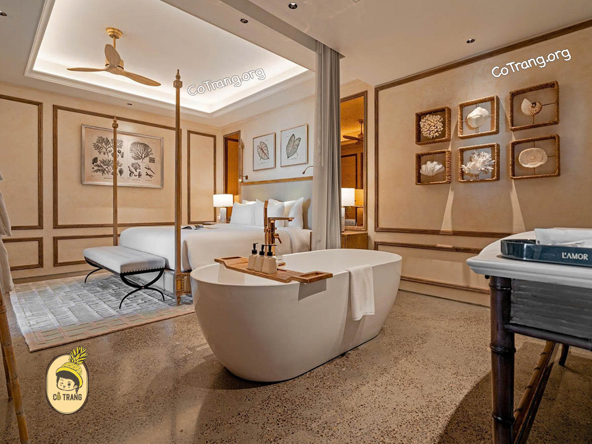 Không Gian Thực Tế Tại L'amor Boutique, Quy Nhơn
