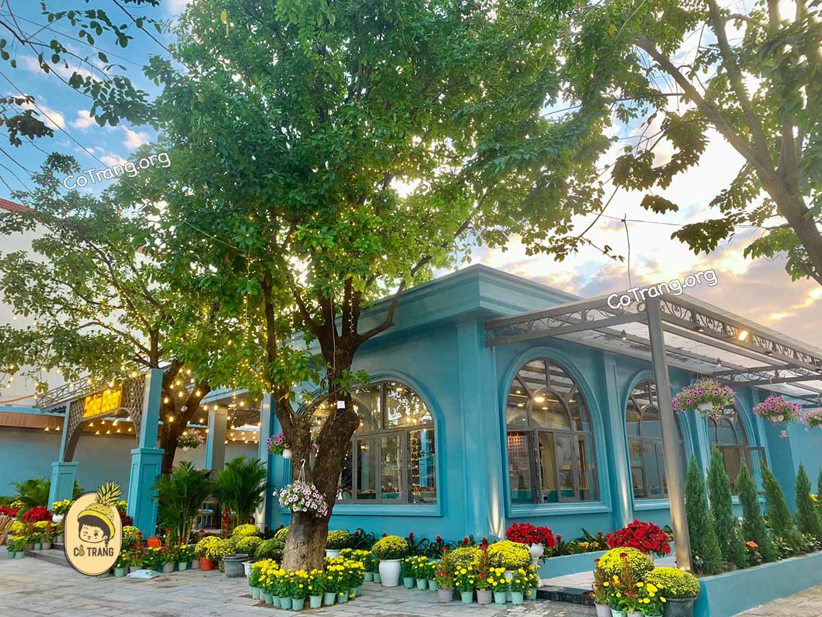 Trải nghiệm ẩm thực tại Nhà Hàng Sake Beer Quảng Ngãi - menu, review