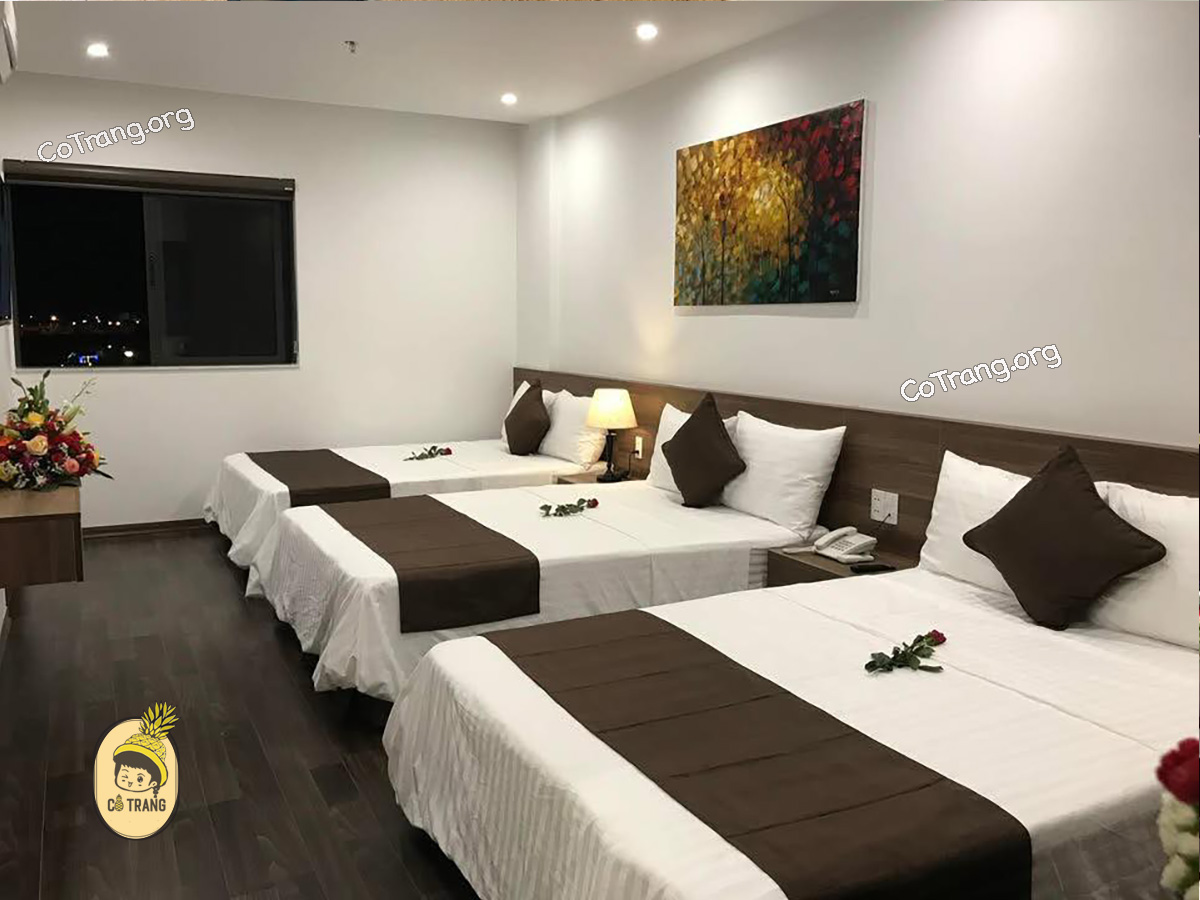 Không Gian Thực Tế Tại Windy Hotel, Quảng Bình