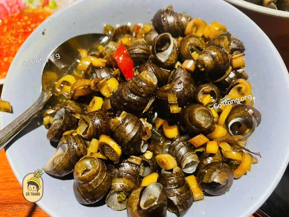 Các Món Ăn Tại Ốc Hút Cây Me, Quảng Ngãi