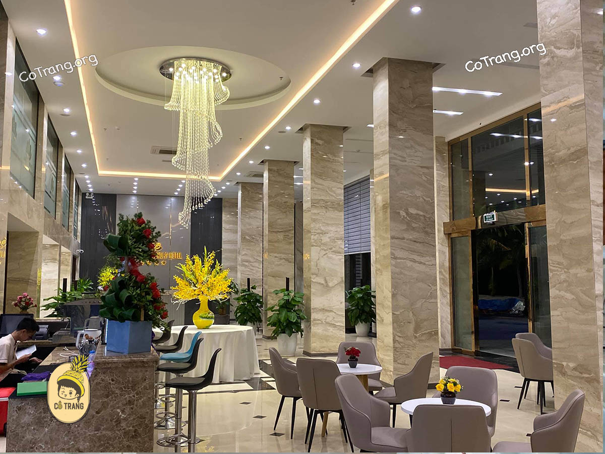 Không Gian Thực Tế Tại Khách Sạn Phương Bắc Luxury, Quảng Bình