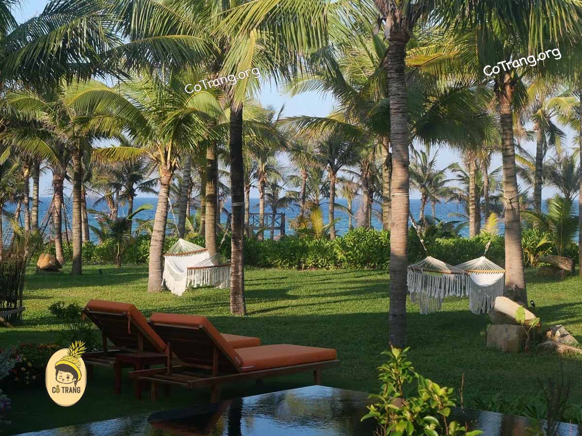 Không Gian Thực Tế Tại Bliss Hoi An Beach Resort & Wellness, Hội An