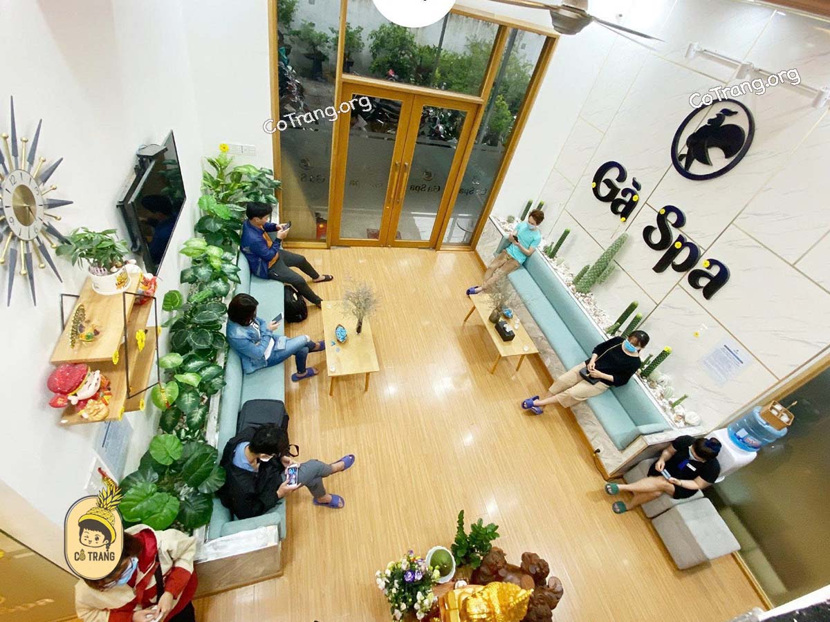 Khôn Gian Thực Tế Tại Gà Spa, Quy Nhơn