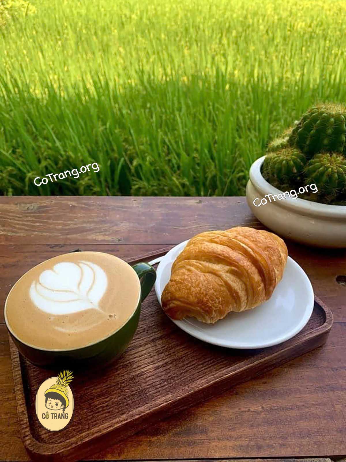 Các Thức Uống Tại Le Locust Café, Hội An