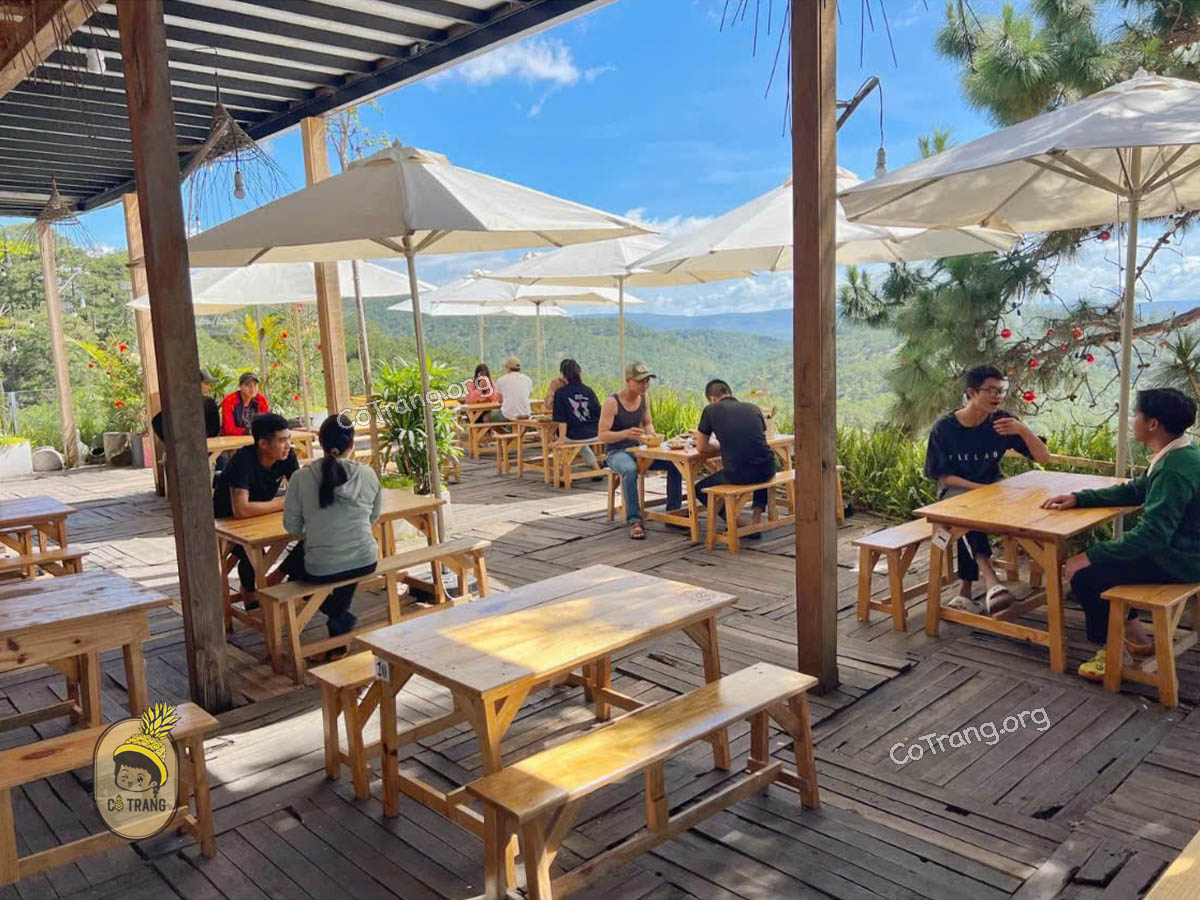 Trải Nghiệm Buffet Cơm Dưới Tán Thông Đà Lạt, Menu, Review