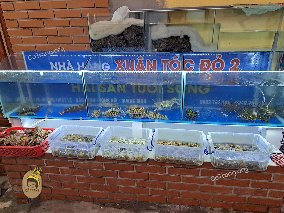 Nhà hàng Xuân Tóc Đỏ 2 - 125 Nhật Lệ, TP. Đồng Hới