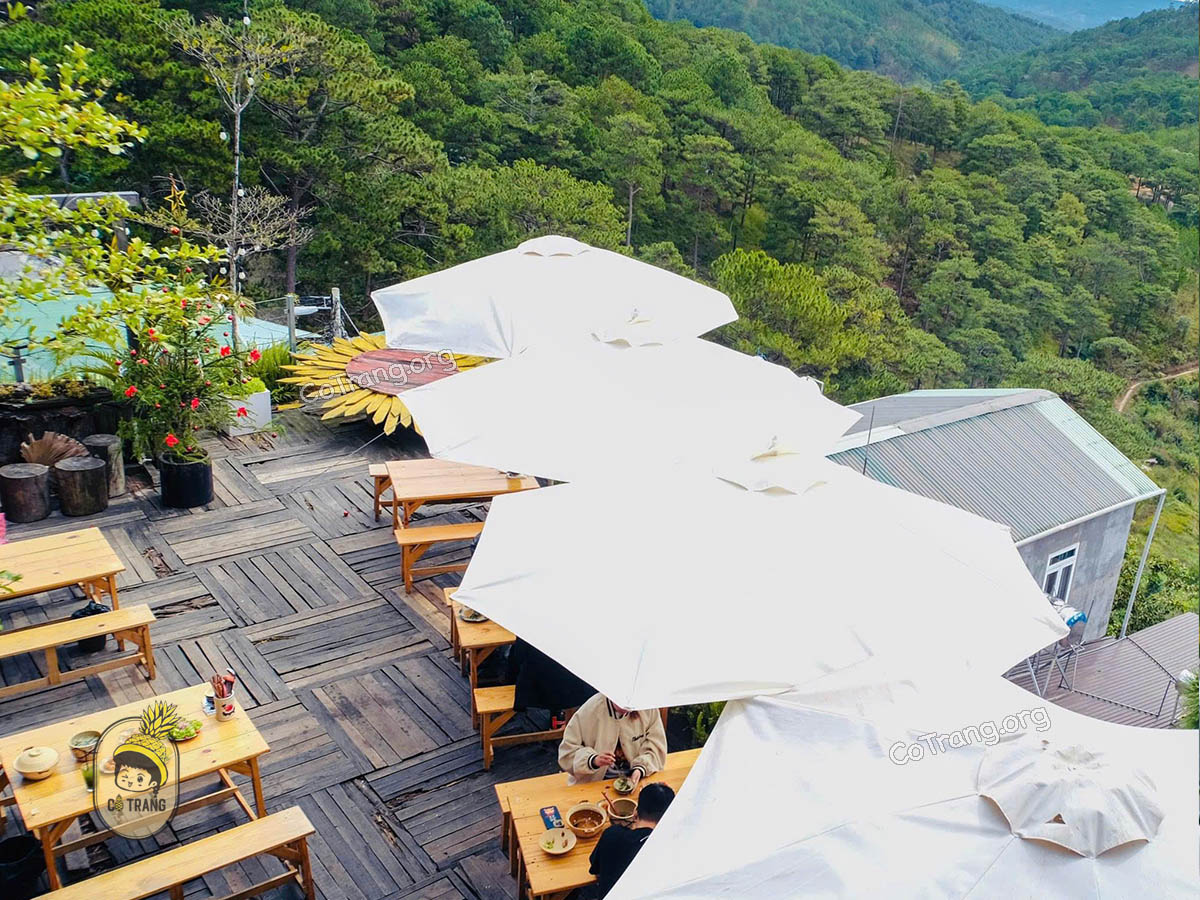 Không gian thực tế tại Dưới Tán Thông Đà Lạt 