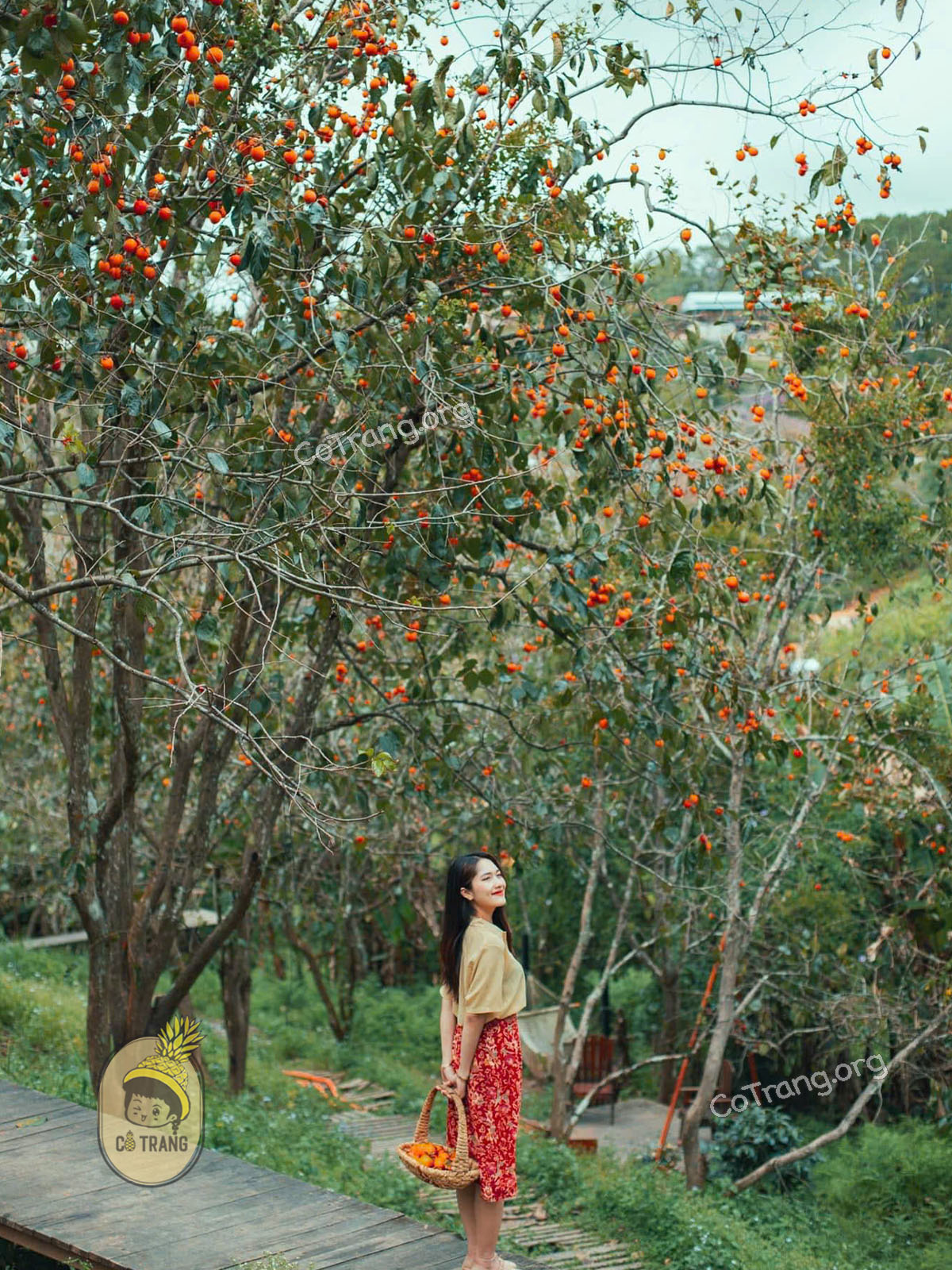 Góc check-in siêu mê tại Vườn Hồng Nhà TOM Đà Lạt