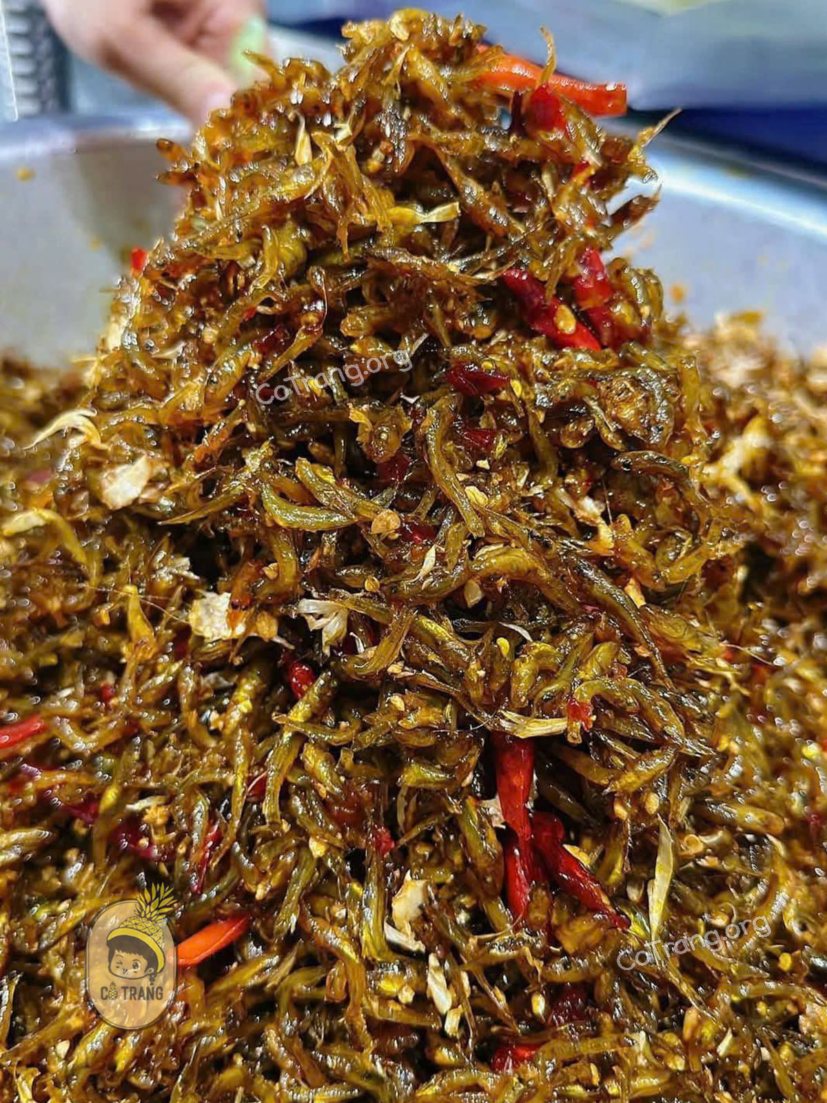 Hình ảnh thực tế Cá Bống Sông Trà (ảnh sưu tầm)