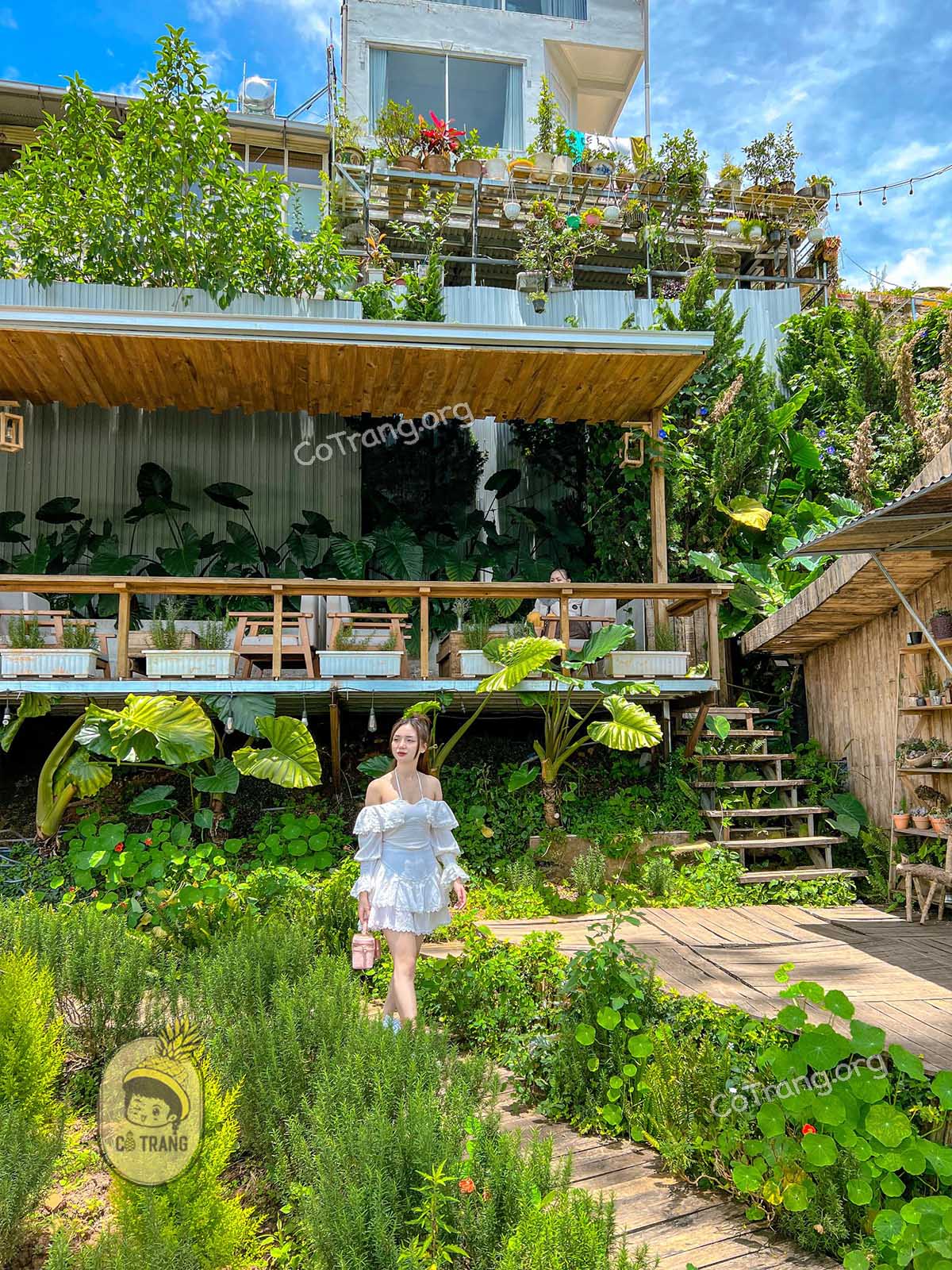 Không gian thực tế và góc check-in cưc sodeep tại Gió Đà Lạt The Coffee